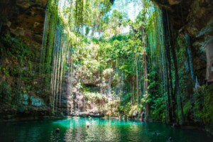 Discover the Magical Cenotes in Riviera Maya Mexico