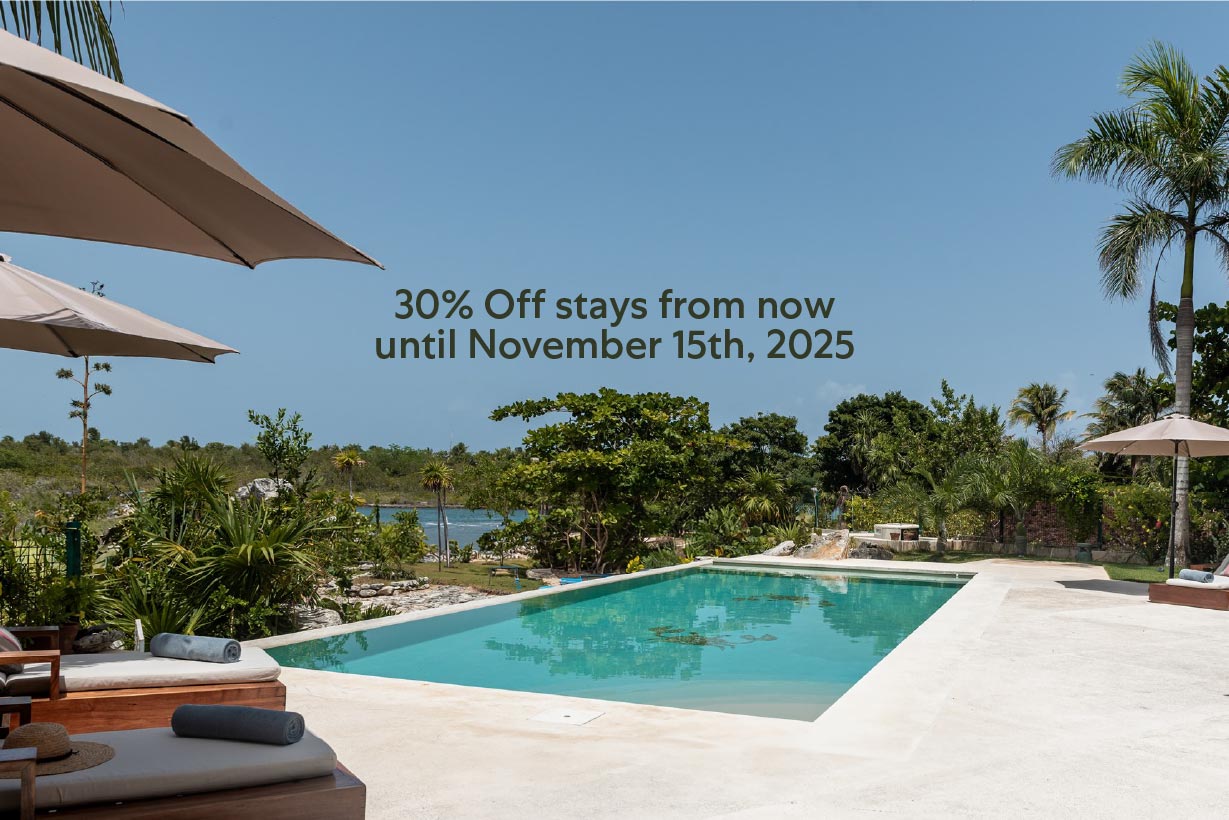 Cangrejo Cover 30%off 04