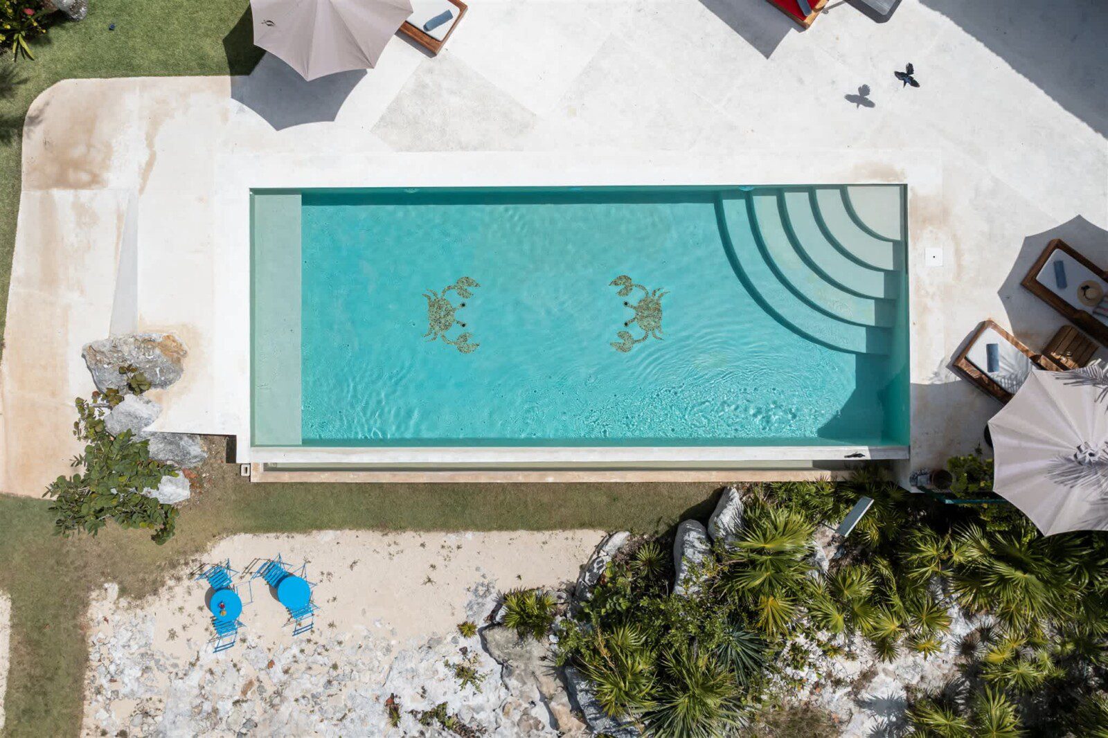 Casa Cangrejo Feliz
