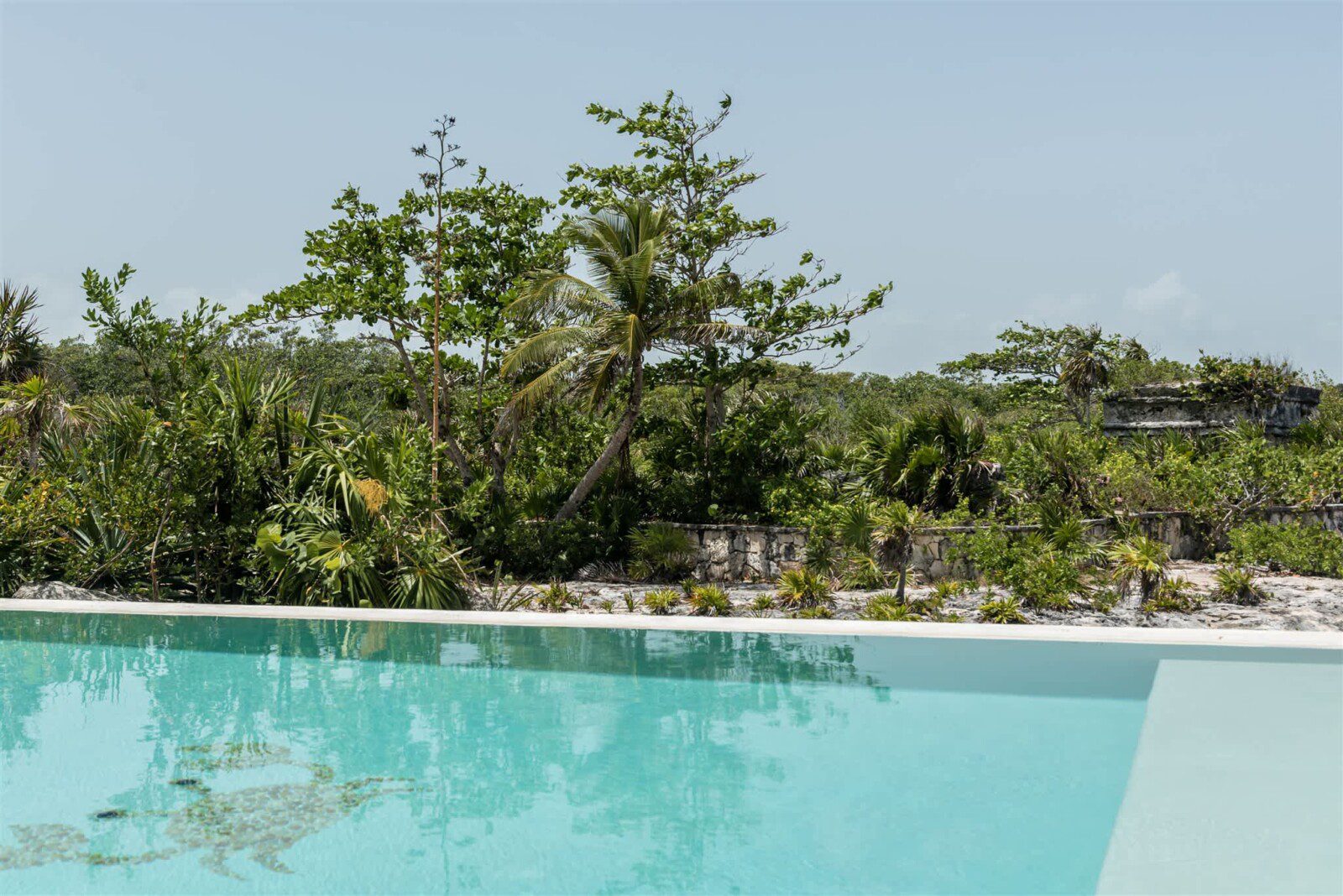 Casa Cangrejo Feliz