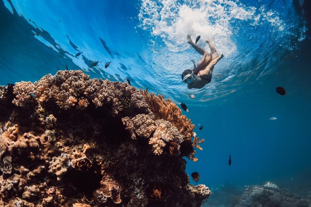 Snorkeling in the Riviera Maya