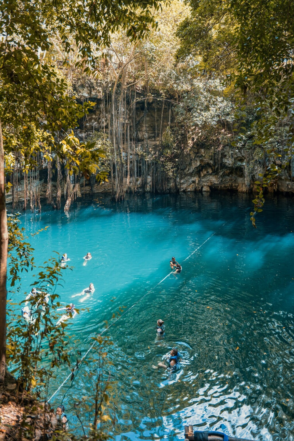 Swimmers in a turquoise cenote under hanging roots and jungle