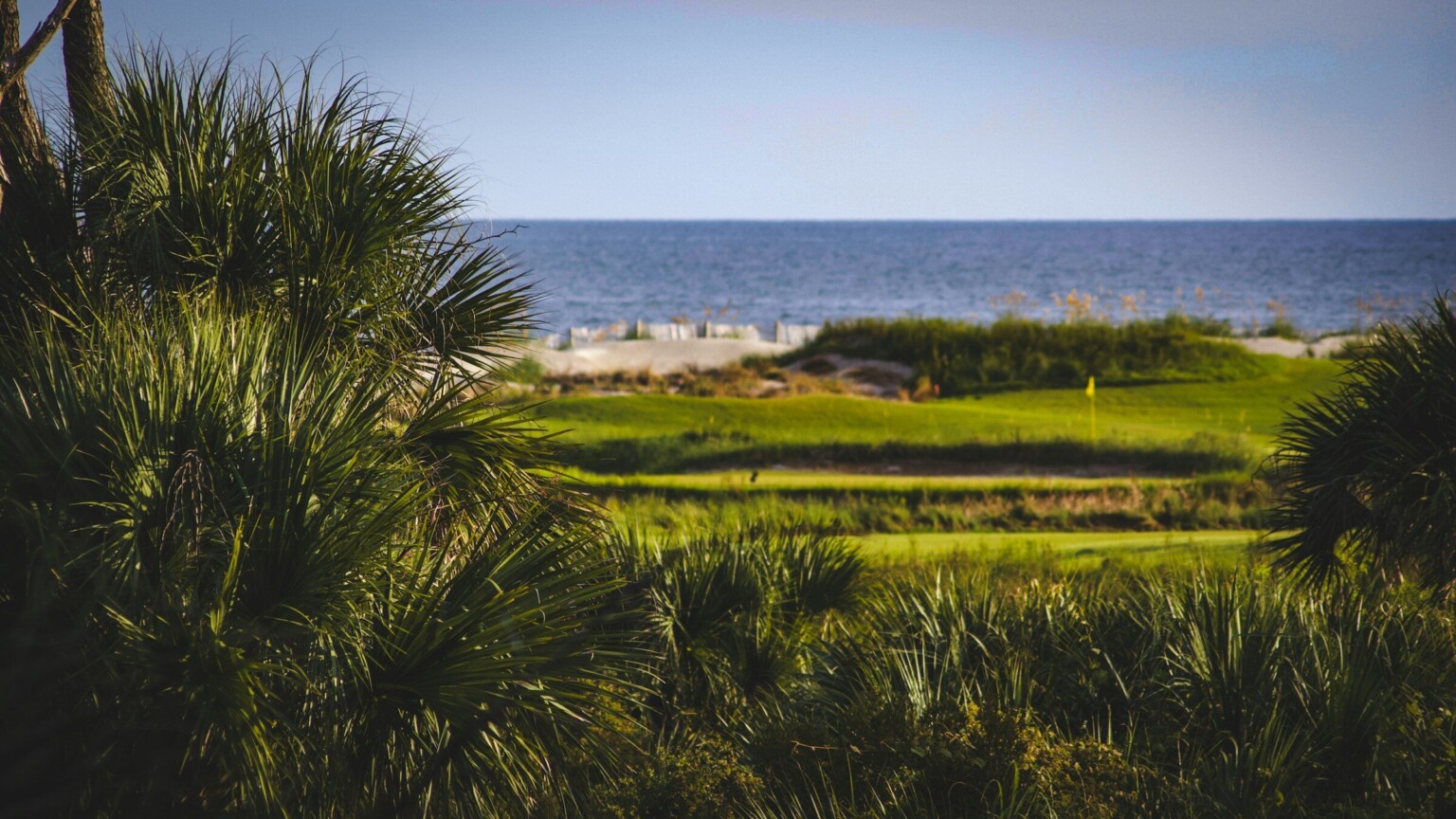 A golf course framed by palms, the sea beyond